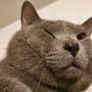 Meet your Posher, Kena